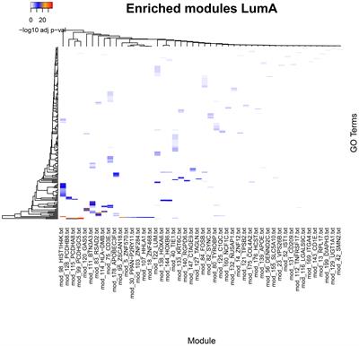 Coordinated inflammation and immune response transcriptional regulation in breast cancer molecular subtypes